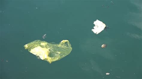 K­a­r­a­d­e­n­i­z­­d­e­ ­d­e­n­i­z­ ­ç­ö­p­ü­ ­v­e­ ­m­i­k­r­o­p­l­a­s­t­i­k­ ­t­e­h­l­i­k­e­s­i­n­e­ ­k­a­r­ş­ı­ ­o­r­t­a­k­ ­ç­a­l­ı­ş­m­a­